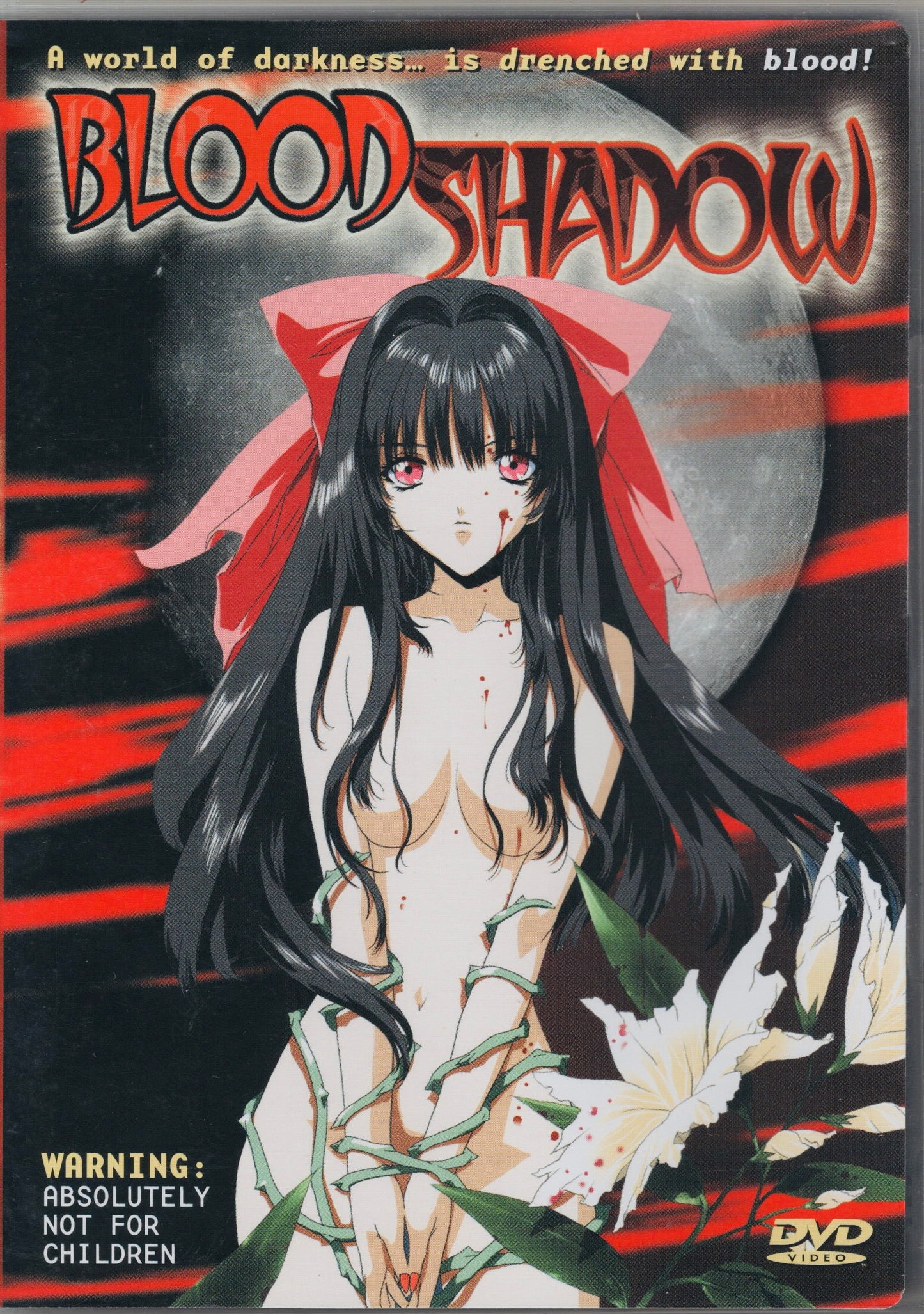 2001 Blood Shadow